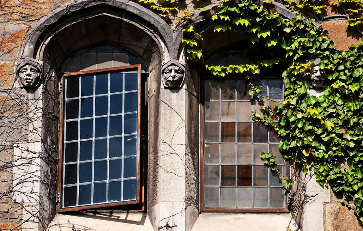 Beauty image of Windows on the Law School