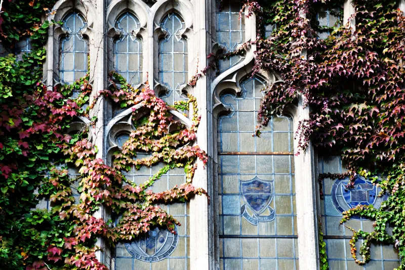 Beauty Detail of the Law School Reading Room 