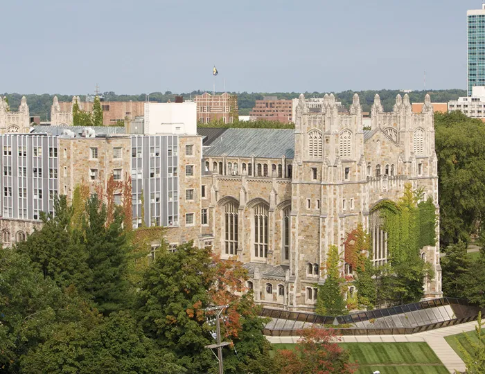 Beauty Image of the Law School Library