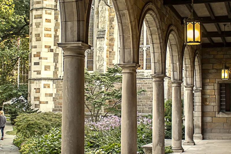 Beauty image of the Law Quad Architecture