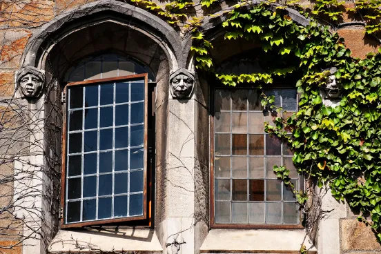 Beauty image of Windows on the Law School