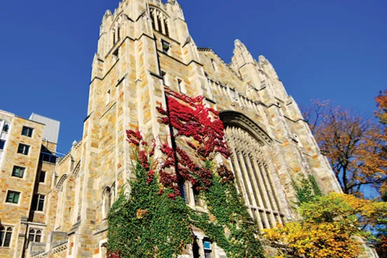 Beauty image of the Law School Reading Room 