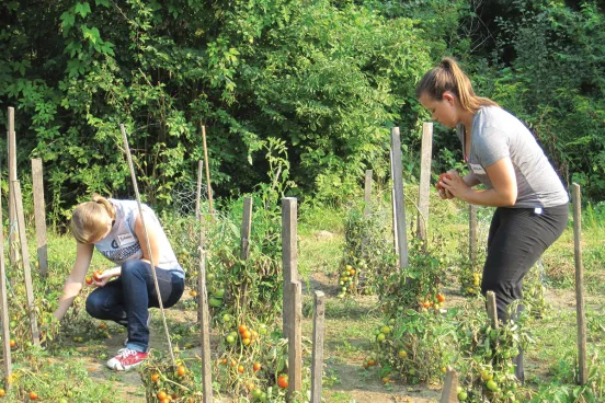 At a recent Service Day, Michigan Law students volunteer  at an urban garden in Detroit.