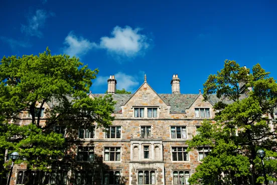 Beauty image of the law school through lush green trees