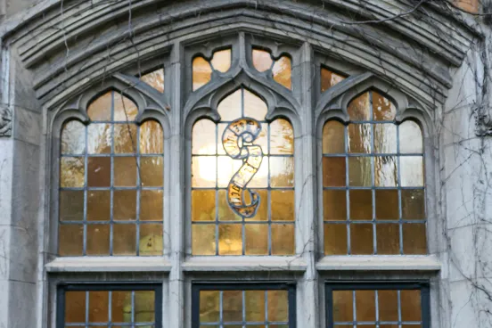 Beauty image of Michigan University law school building windows in the courtyard