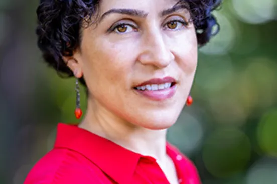 Azadeh N. Shahshahani