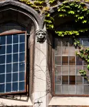 Beauty image of Windows on the Law School