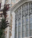 Beauty image of the Law School Reading Room 