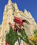 Beauty image of the Law School Reading Room 