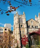 Beauty image of the Law School Reading Room 