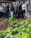 Michigan Law students visit Growing Hope.